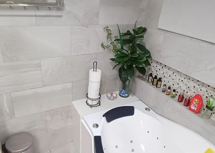 1 Master Br With Full Bathroom And Jet Tub 2nd Br With Full Bathroom Elegant Fully Furnished With Feels