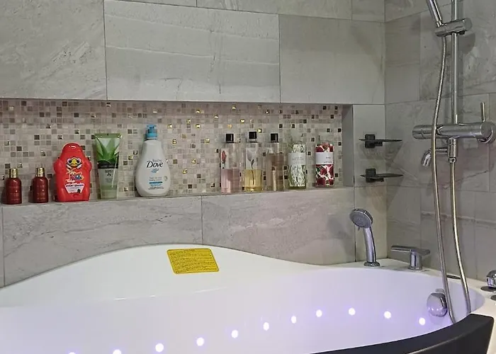 Apartment 1 Master Br With Full Bathroom And Jet Tub 2nd Br With Full Bathroom Elegant Fully Furnished With Feels Manila